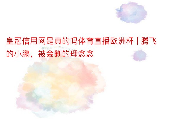 皇冠信用网是真的吗体育直播欧洲杯 | 腾飞的小鹏，被会剿的理念念