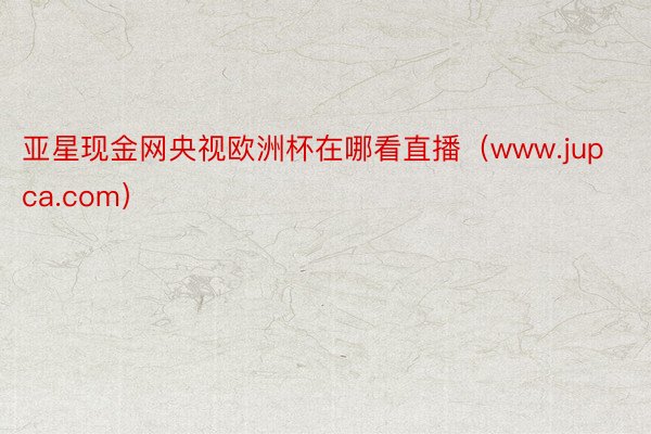 亚星现金网央视欧洲杯在哪看直播（www.jupca.com）