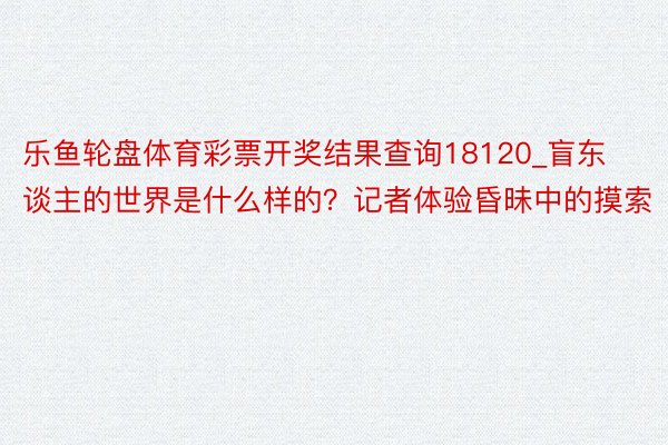 乐鱼轮盘体育彩票开奖结果查询18120_盲东谈主的世界是什么样的？记者体验昏昧中的摸索