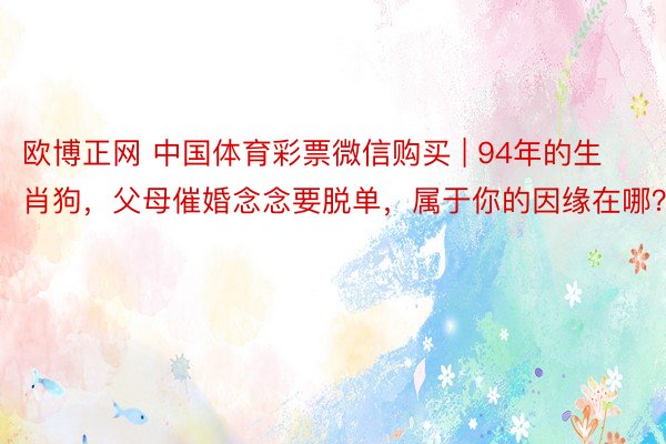 欧博正网 中国体育彩票微信购买 | 94年的生肖狗，父母催婚念念要脱单，属于你的因缘在哪？