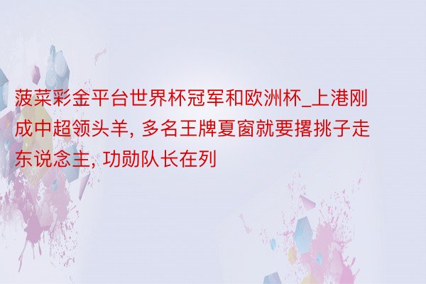菠菜彩金平台世界杯冠军和欧洲杯_上港刚成中超领头羊, 多名王牌夏窗就要撂挑子走东说念主, 功勋队长在列